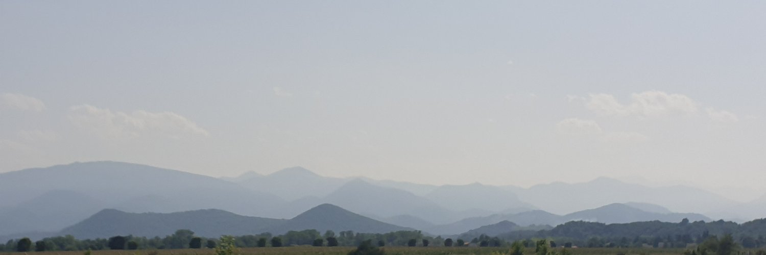 Fabrice Gallet banner