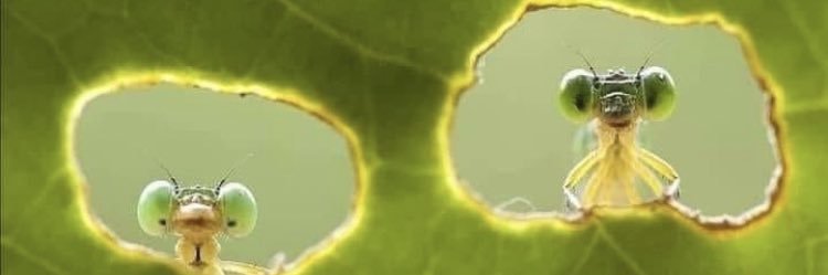 Mihael_on's profile banner image