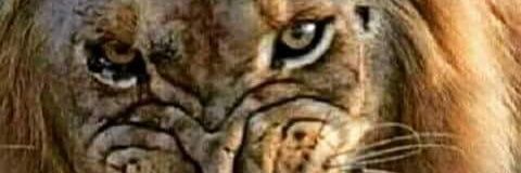 DocLamar1's profile banner image