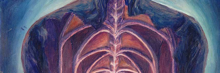The Intima's banner