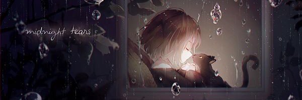 pichita_bb's profile banner image