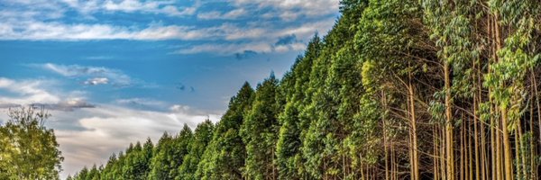 GamzeSart Profile Banner