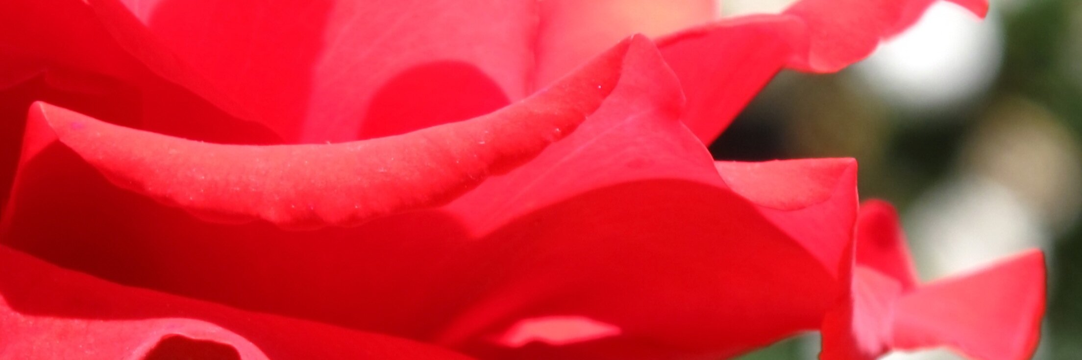 GigiDBWgallery's profile banner image