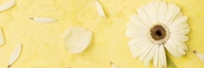 tanis_rm's profile banner image