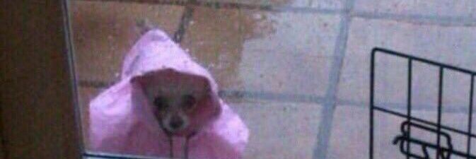 Ronald's life is a gacha game banner