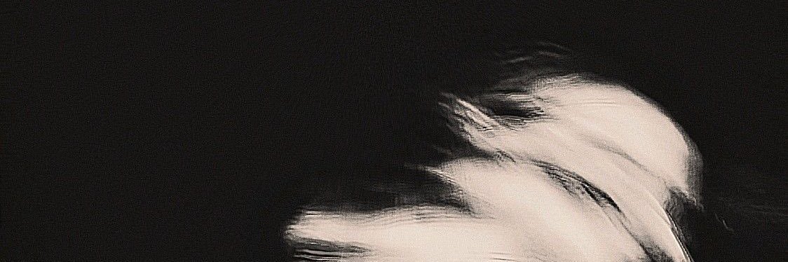 luissoval's profile banner image