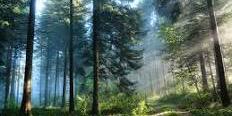 NorthEssentials's profile banner image