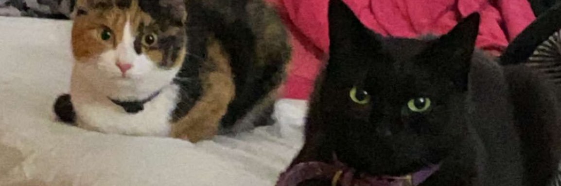 EvanRutt's profile banner image