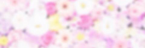 Tkhsaki35's profile banner image