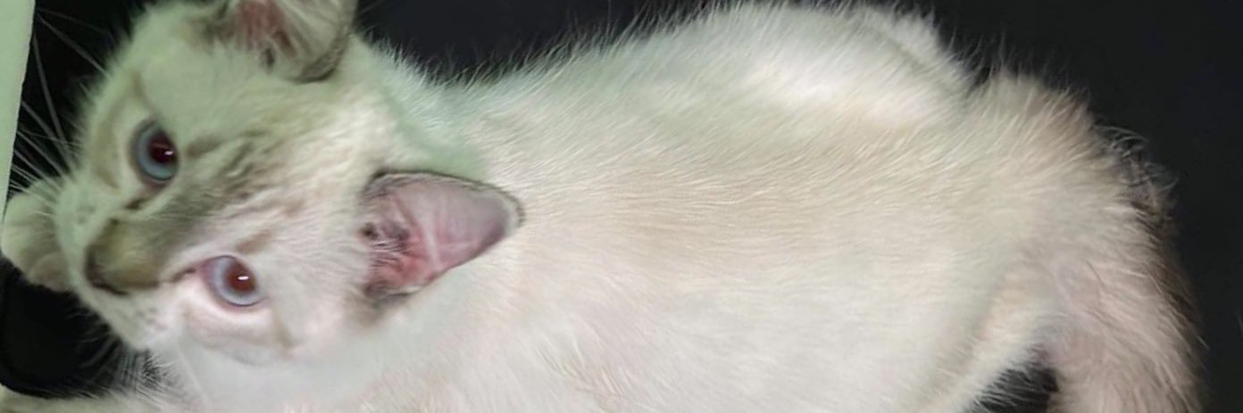 kithhudson05's profile banner image