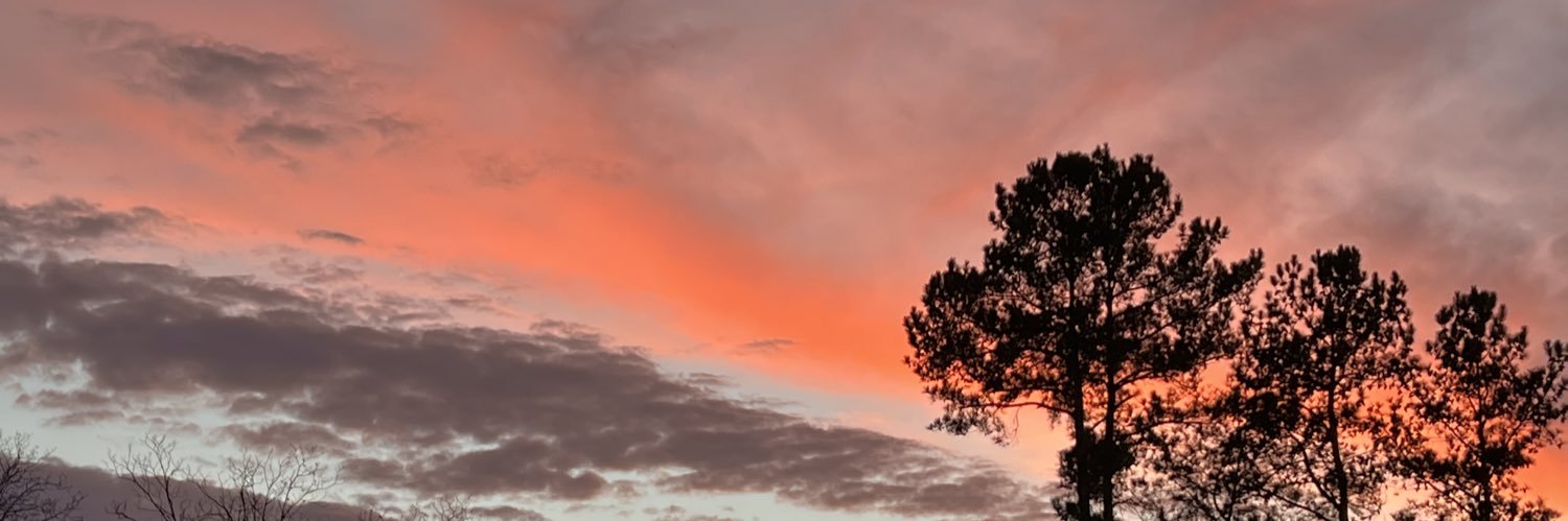 raybannn's profile banner image