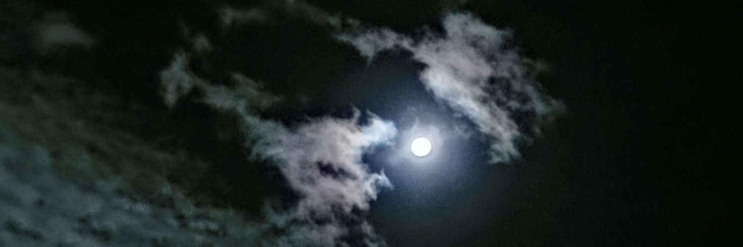 María 🐦's banner