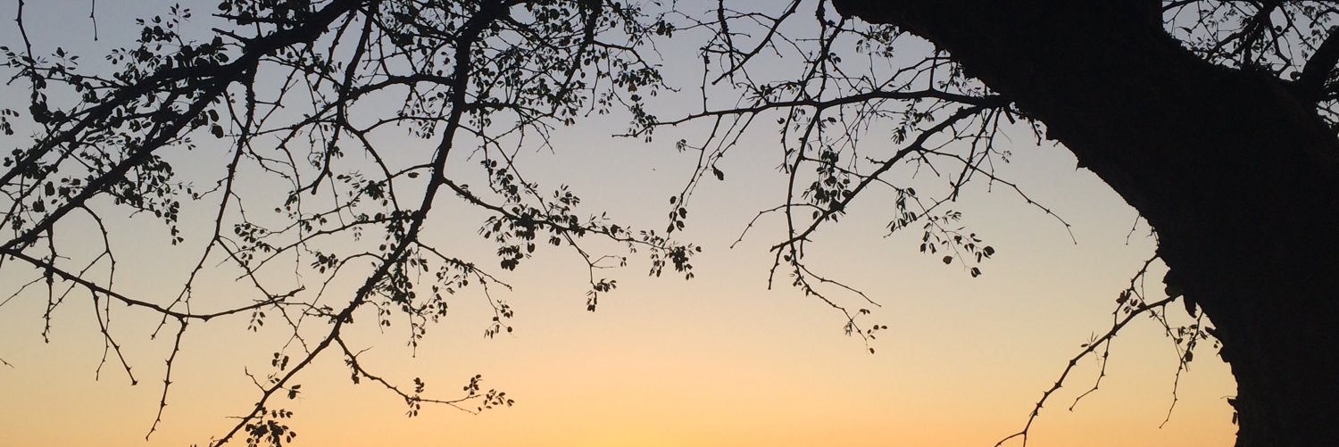 kmd10fsa's profile banner image