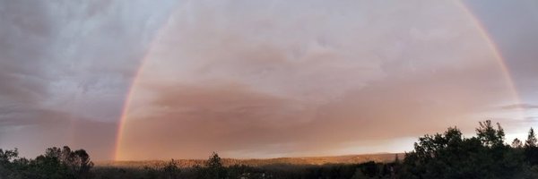 franknote Profile Banner