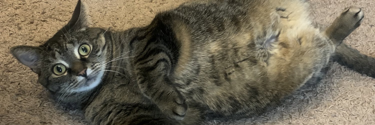 LilGryph's profile banner image