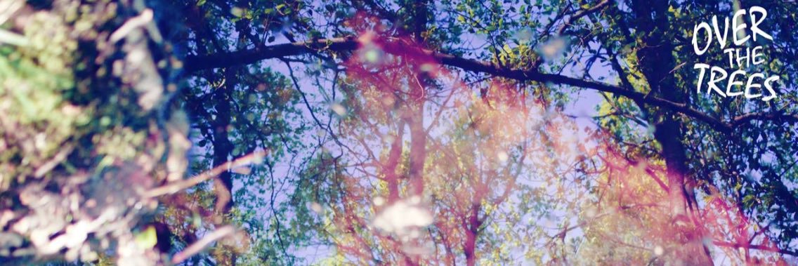 Over the Trees banner