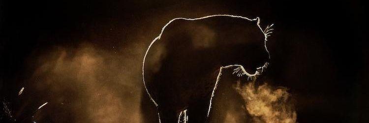 Bruce_Bane_'s profile banner image