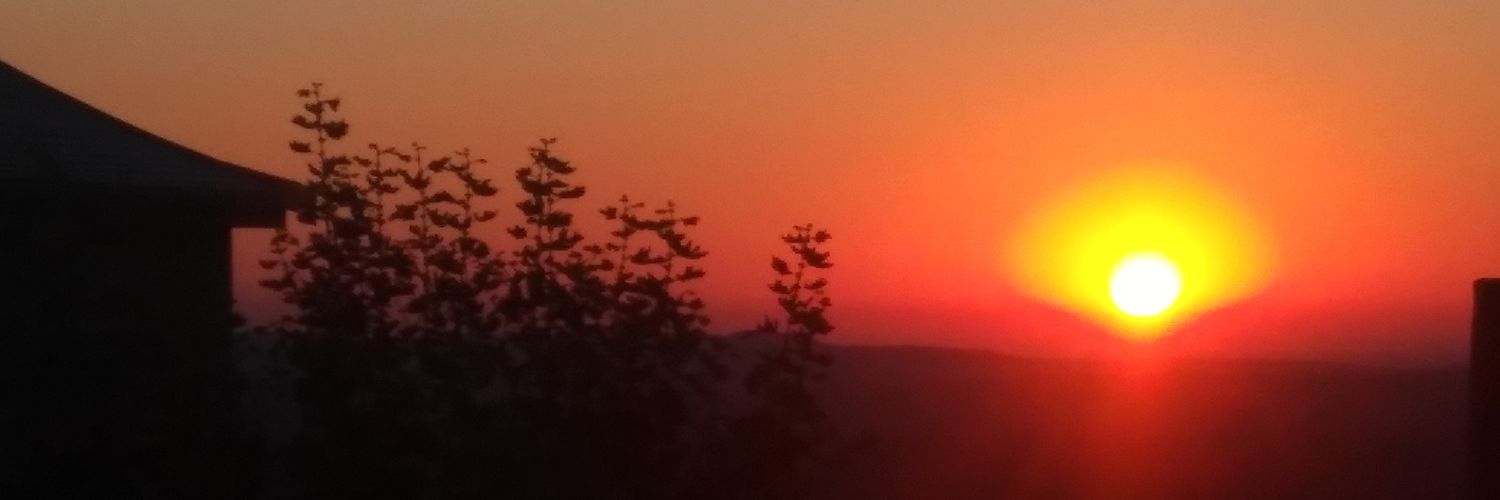TheAdamskater's profile banner image