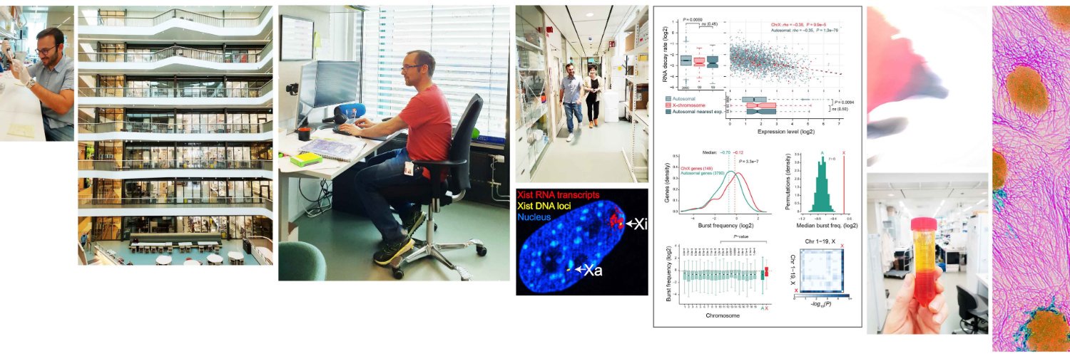 Björn Reinius banner