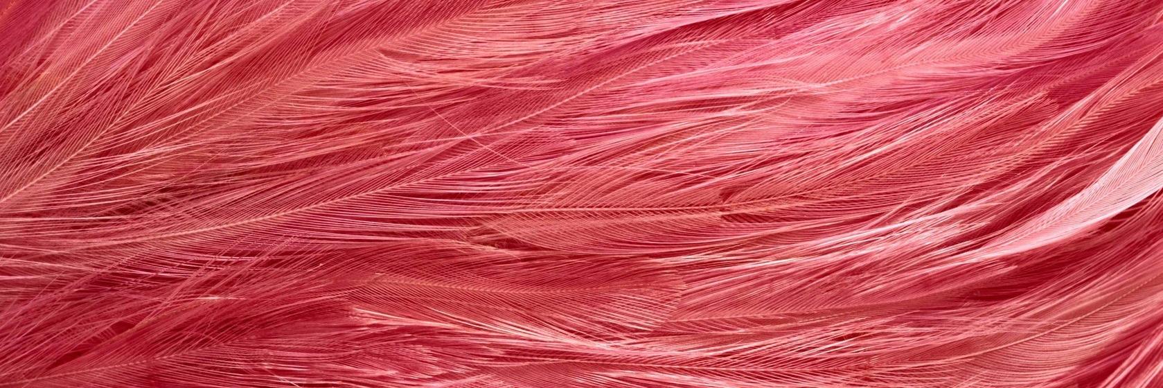 GoddessClubDub's profile banner image