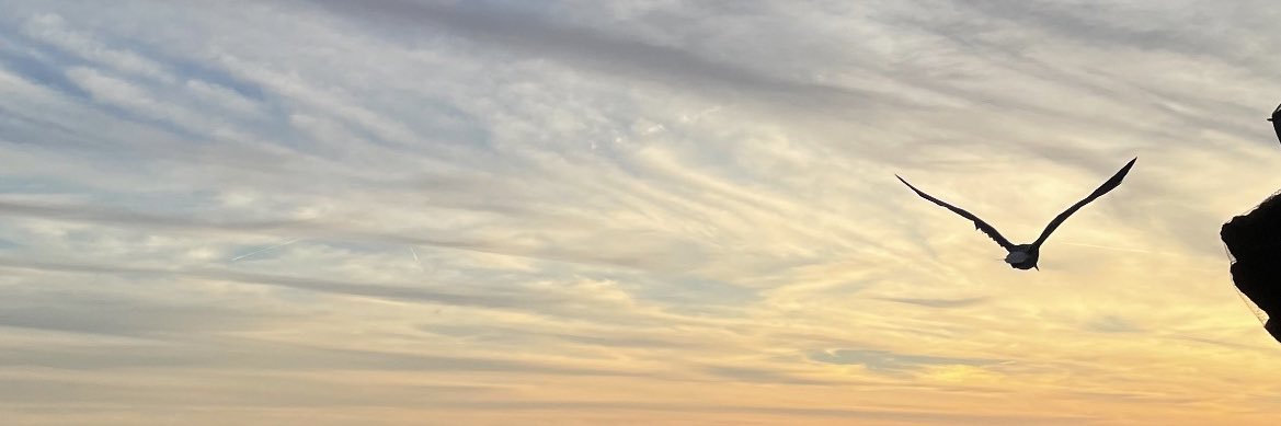 ModexINC's profile banner image