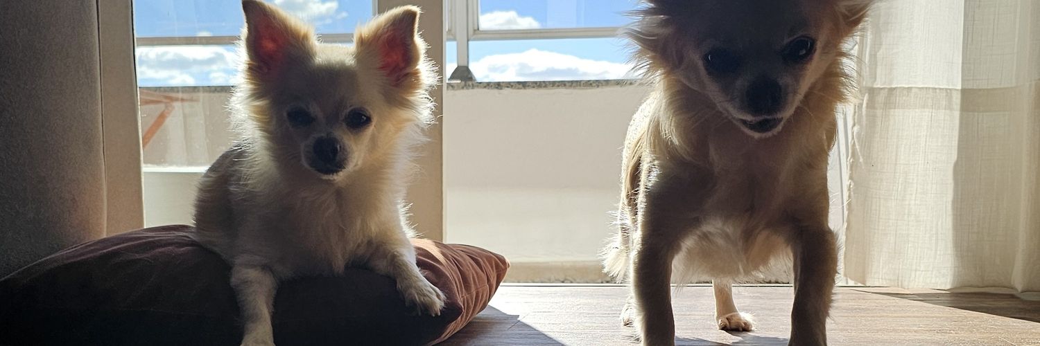 paulo_arc's profile banner image