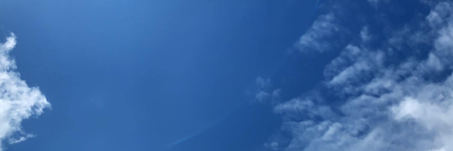 raika0321's profile banner image