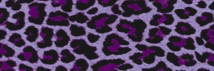ADPconsultancy's profile banner image