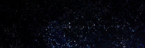 りんたぽん banner