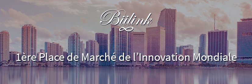 Biilink banner