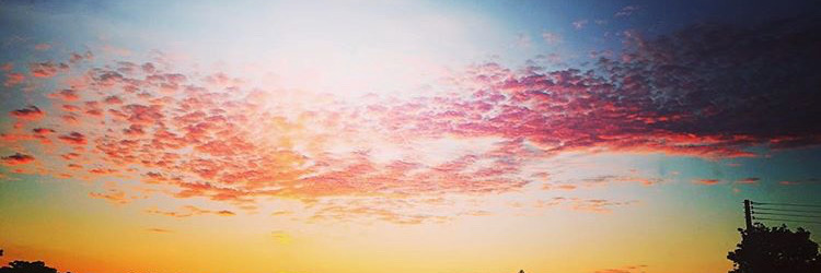 . banner