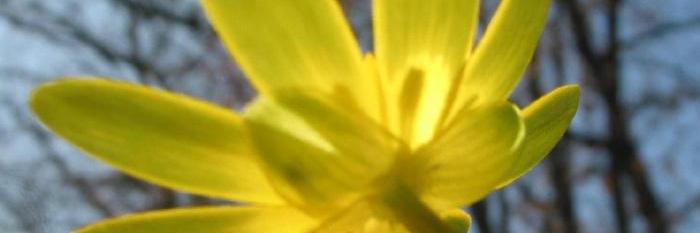 m_claudesegui's profile banner image