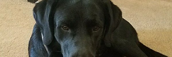 Munkyal77 Profile Banner