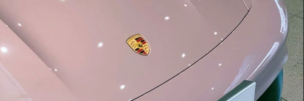 🦁 banner