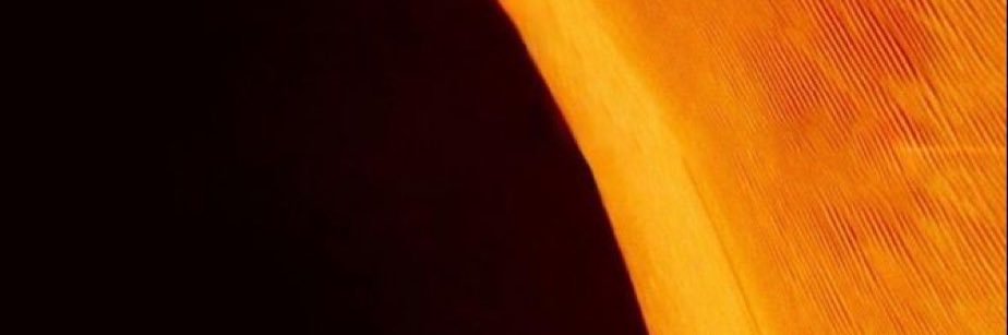 StrongAsIron34's profile banner image