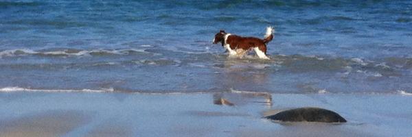 shaw_is Profile Banner