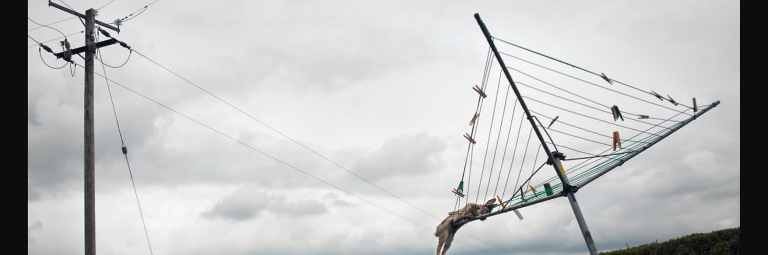 Michelle Perkins banner