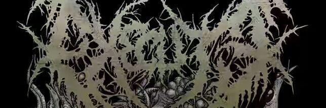 lemz38execute's profile banner image
