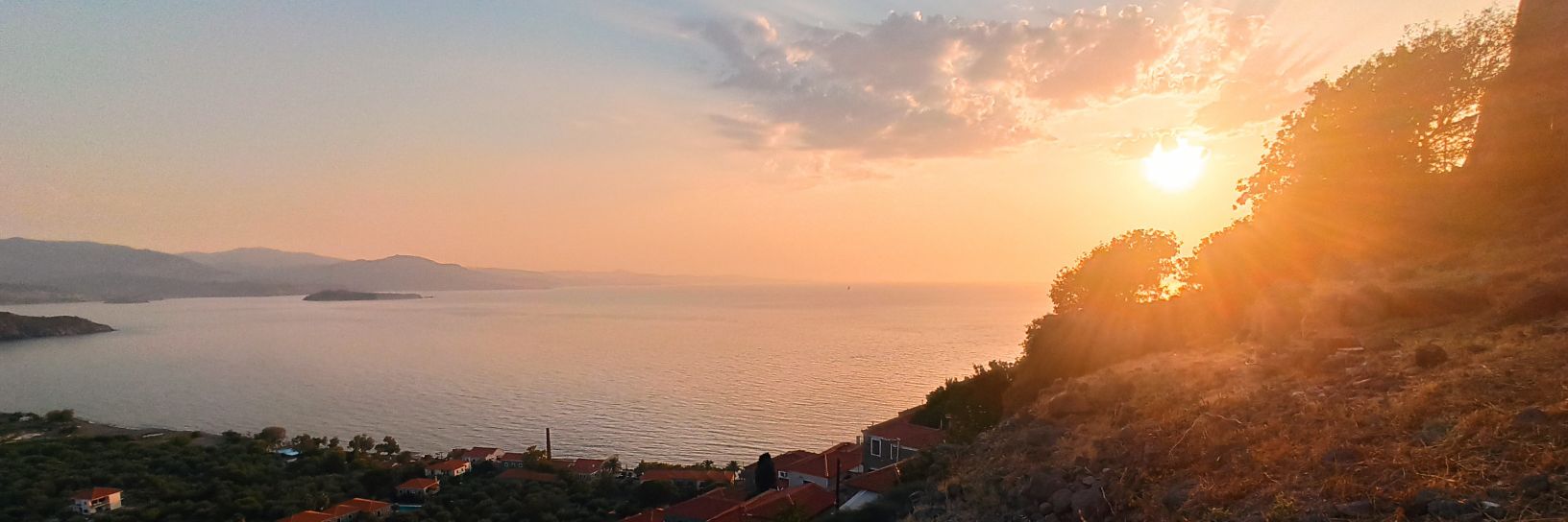 Bora Cekmen banner