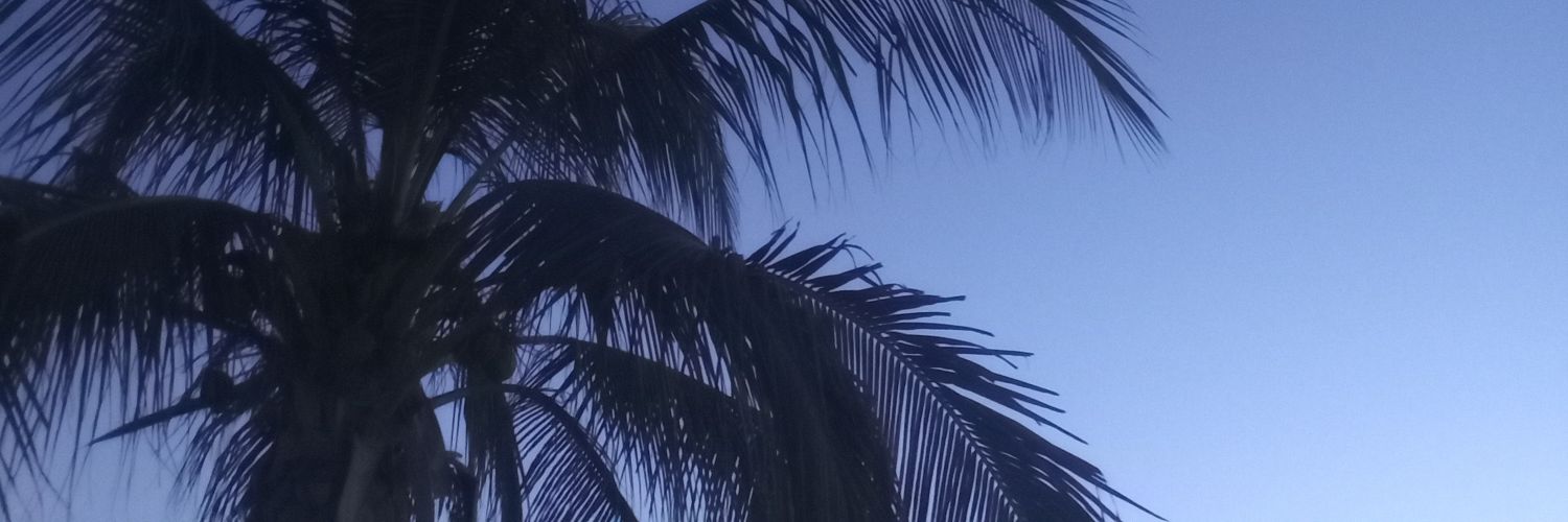 CecySaenz02's profile banner image