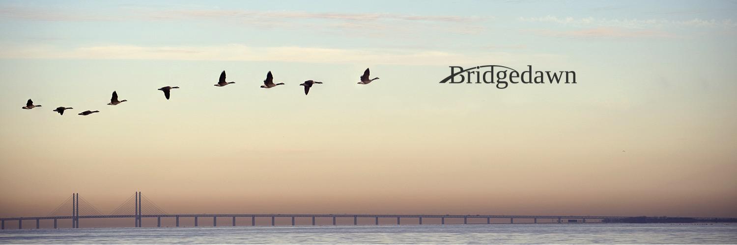 BridgedawnGroup's profile banner image