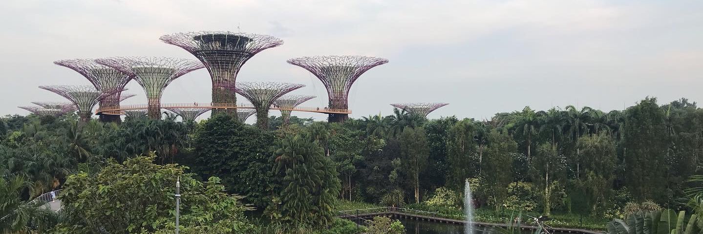 Simon P Evans banner