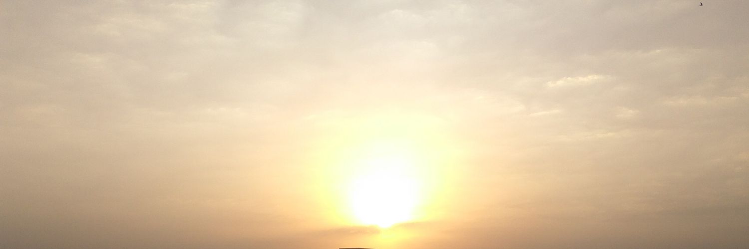 Adipareek14's profile banner image