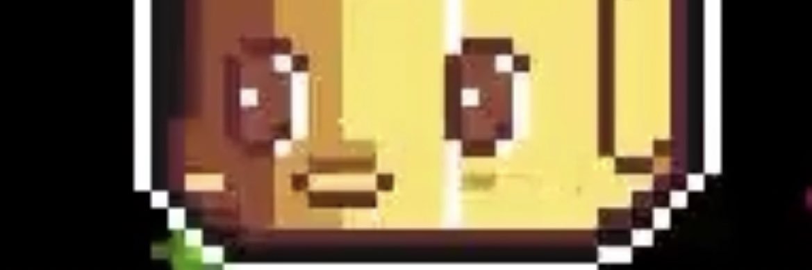 AngusChannonL's profile banner image