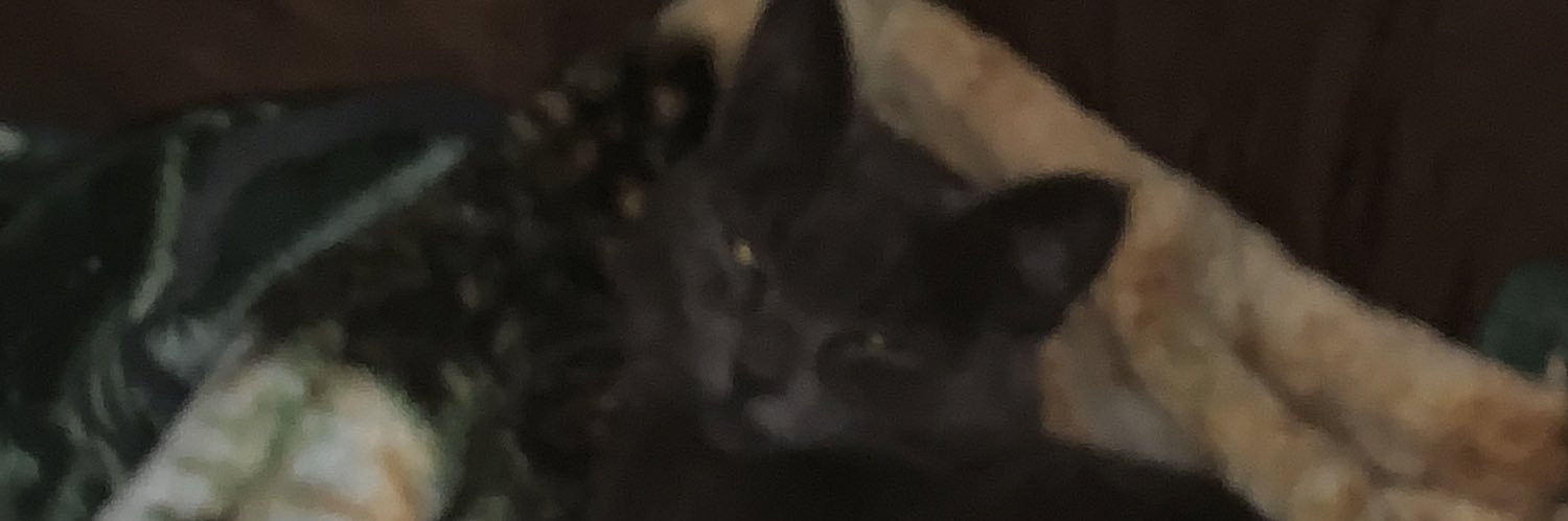 Marioboi45's profile banner image