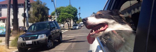 GarronEngstrom Profile Banner