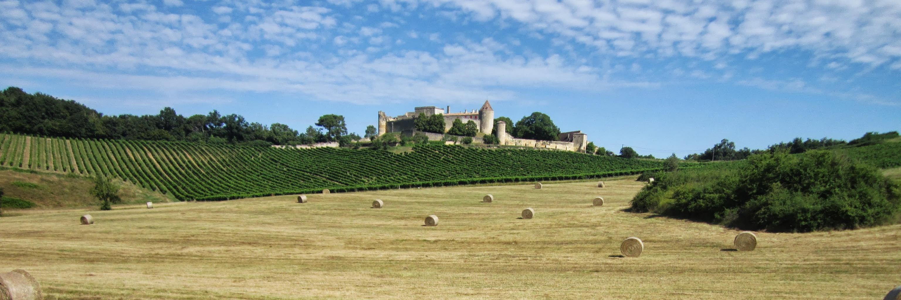 PSequier's profile banner image