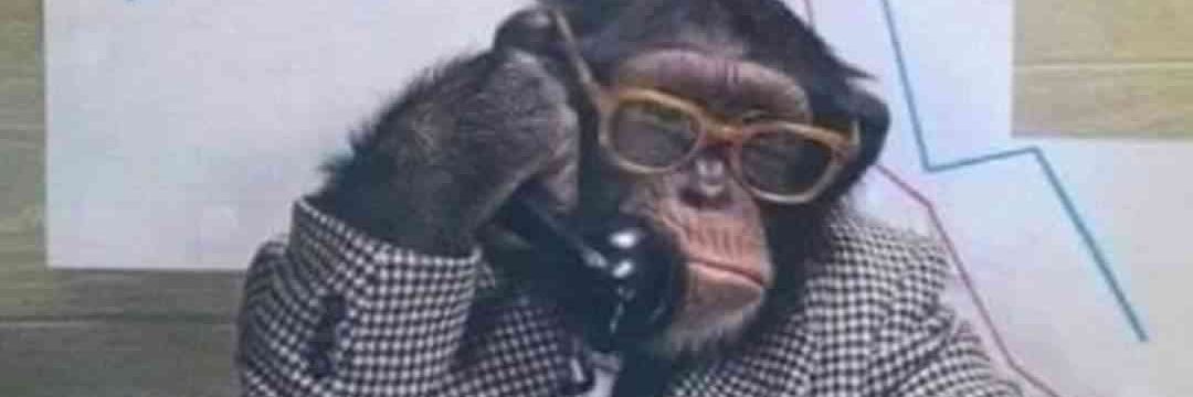 Monkey man banner