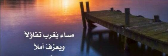 ElammMetwally's profile banner image