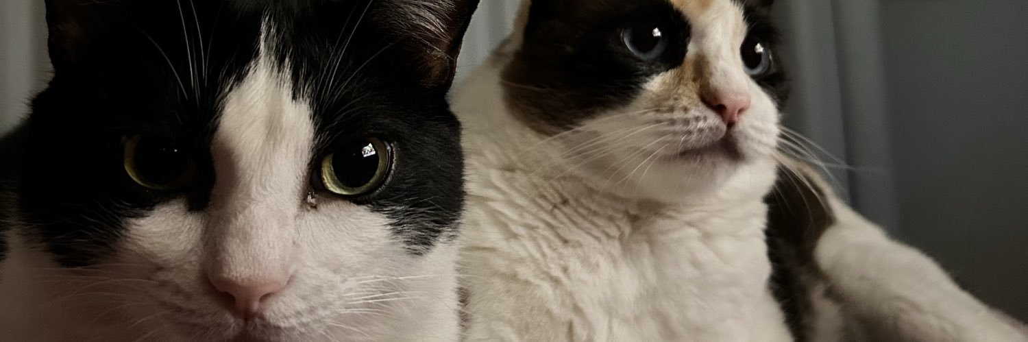 igroppelli's profile banner image